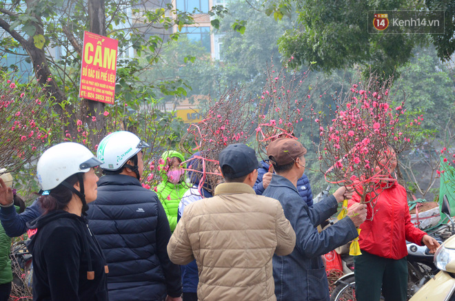 Người mua hoa lý giải việc phải chờ đến ngày 29, 30 Tết: Cũng vì nhiều người bán hét giá cao quá!